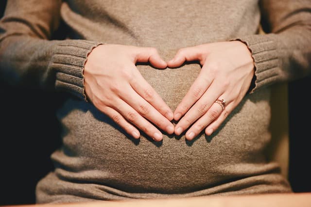Guide d'achat manteaux grossesse hiver : qualité prix