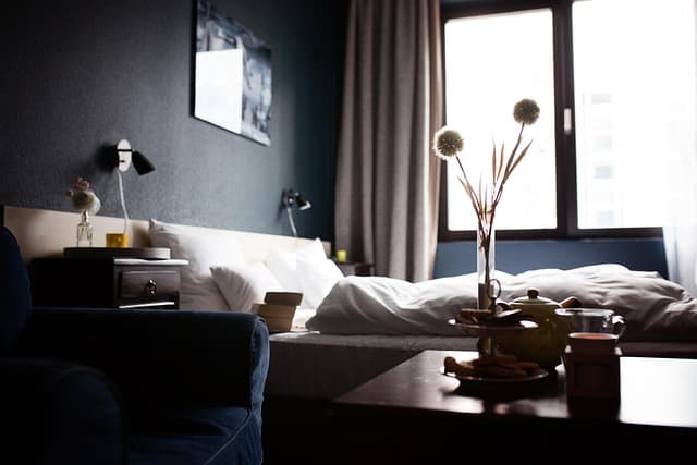 Errori da Evitare negli Hotel Pet-Friendly