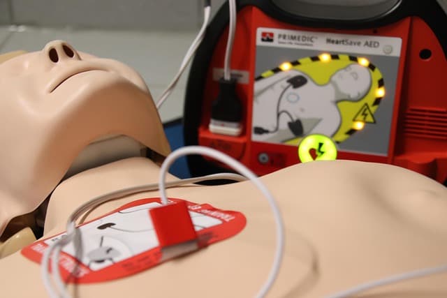 Essential Pet First Aid Tips for Beginners